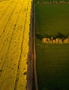 colored cels of fields in bright colors drone view Royalty Free Stock Photo