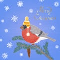 Colored Chalk Drawn Illustration With Bullfinch In A Hat On Fur-tree Branch, Merry Christmas Text And Snowflakes.