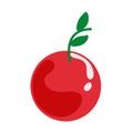 Colored cherry candy icon Vector