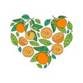 Colored citrus fruits heart shape vector illustration
