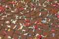 colored confetti during the carnival party on the paved floor