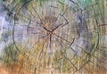 Colored cracked wooden texture with circles