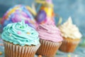 Colored cup cake Royalty Free Stock Photo