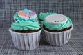 Colored cupcakes close-up on grey fabric background Royalty Free Stock Photo