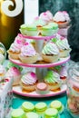 Colored cupcakes. Muffins with cream. Colorful macarons Royalty Free Stock Photo