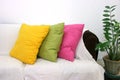 Colored cushions
