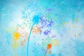 Colored dandelions on blue painting background