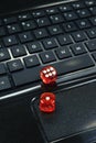 Colored dices on keyboard - on line gambling concept