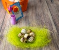 Colored different Easter eggs table decoration with postcard Royalty Free Stock Photo