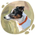 Colored dog portrait, Jack Russell Terrier breed