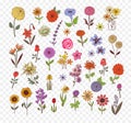 Colored Doodle sketch flowers. Vector illustration