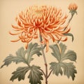 Artistic Drawing of Japanese Chrysanthemum Flower
