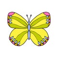 Colored drawn butterfly isolated