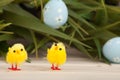 Colored easter eggs background Royalty Free Stock Photo
