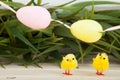 Colored easter eggs background Royalty Free Stock Photo