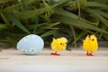 Colored easter eggs background Royalty Free Stock Photo