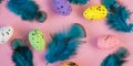 Colored easter eggs and blue feather on a pink background, web banner Royalty Free Stock Photo