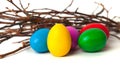 Colored Easter eggs from the branches. Royalty Free Stock Photo