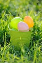 Colored Easter eggs in bucket in the yard Royalty Free Stock Photo