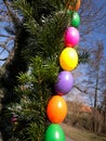 Colored easter eggs at the easter fountain Royalty Free Stock Photo