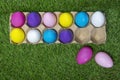 Colored Easter eggs in egg carton on grass Royalty Free Stock Photo