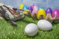 Colored Easter eggs in egg carton on grass Royalty Free Stock Photo