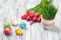 Colored easter eggs, flower pot with green grass and beautiful tulips on wooden background. Royalty Free Stock Photo