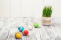 Colored easter eggs, flower pot with green grass on wooden background. Space for text. Selective focus. Royalty Free Stock Photo