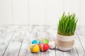 Colored easter eggs, flower pot with green grass on wooden background. Space for text. Selective focus. Royalty Free Stock Photo