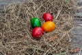 4 colored Easter eggs lays in the dry hay on the wooden aged board