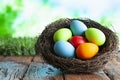 Colored Easter eggs in the nest on wooden table and nature background Royalty Free Stock Photo