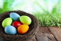 Colored Easter eggs in the nest on wooden table and nature background Royalty Free Stock Photo