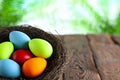 Colored Easter eggs in the nest on wooden table and nature background Royalty Free Stock Photo
