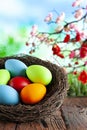 Colored Easter eggs in the nest on wooden table and springtime nature background Royalty Free Stock Photo
