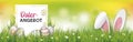 Colored Easter Eggs Osterangebot Hare Ears Spring Header Royalty Free Stock Photo
