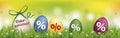 Colored Easter Eggs Osterangebot Spring Header Royalty Free Stock Photo