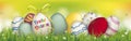 Colored Easter Eggs Ostern Spring Header