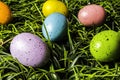 Colored Easter Eggs in Green Grass Royalty Free Stock Photo
