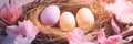 Colored Easter eggs in straw nest with pink flowers banner. Panoramic web header. Wide screen wallpaper