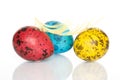 Colored Easter Quail Eggs Royalty Free Stock Photo