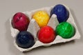 Colored eggs in a box Royalty Free Stock Photo