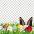 Colored Easter Eggs Grass Hare Ears Transparent Royalty Free Stock Photo