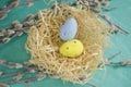 Colored eggs in a nest among the branches at Easter. Among the branches of the willow is a nest with colored eggs. The Royalty Free Stock Photo