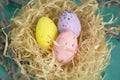 Colored eggs in a nest among the branches at Easter. The composition for PAscha is quail eggs in the nest. Among the Royalty Free Stock Photo