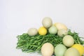 Colored Eggs Simple Clean Image on Green Grass on White Background