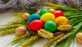 Colored eggs, wheat springs on Nowruz holiday. Selective focus Royalty Free Stock Photo