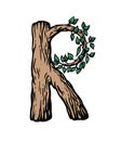 Colored engraving Letter R made of wood with leaves on the white background