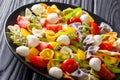 Colored farfalle pasta with vegetables and mozzarella closeup. h Royalty Free Stock Photo