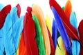 Colored feathers Royalty Free Stock Photo