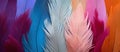 colored feathers, ai generated.